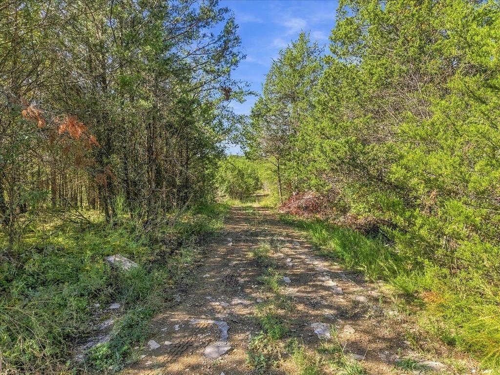 Picture 16