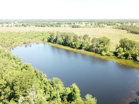 Timber and Recreational Land Tract