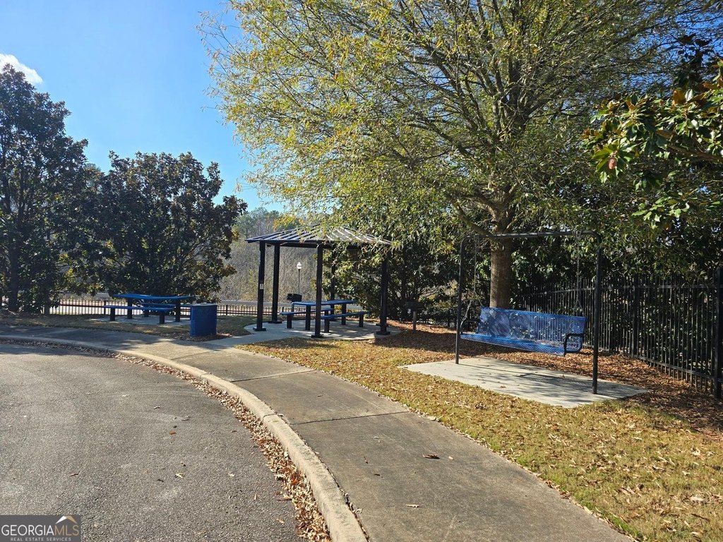 Picture 5