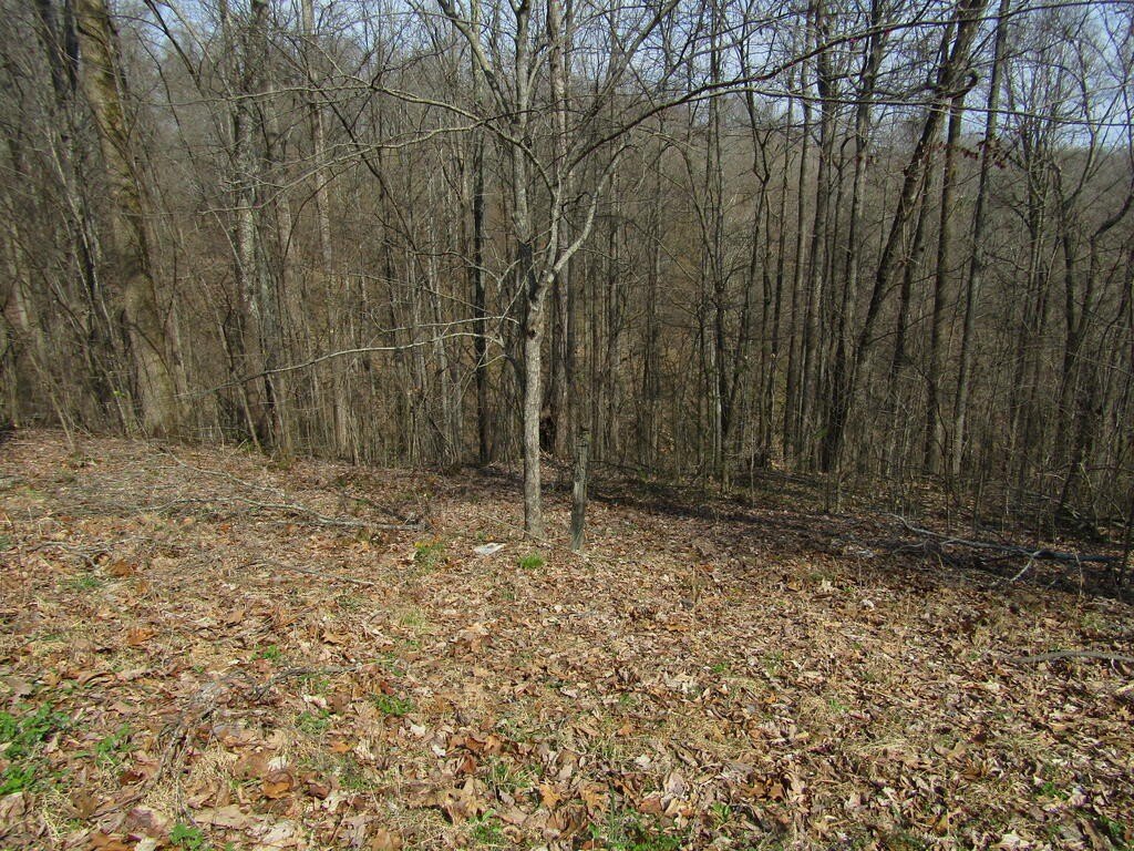 Picture 3