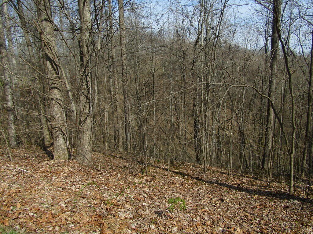 Picture 7