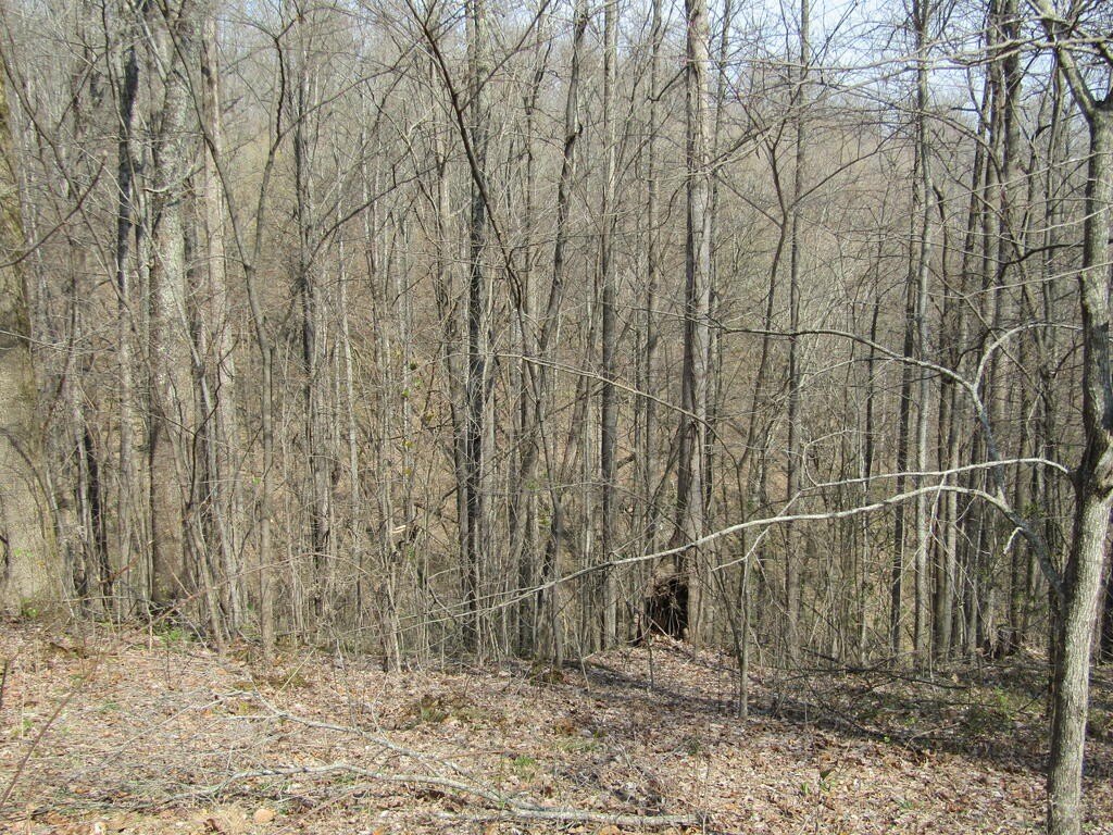 Picture 4