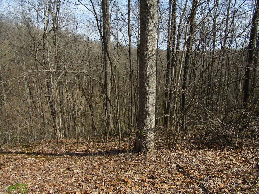 Picture 8