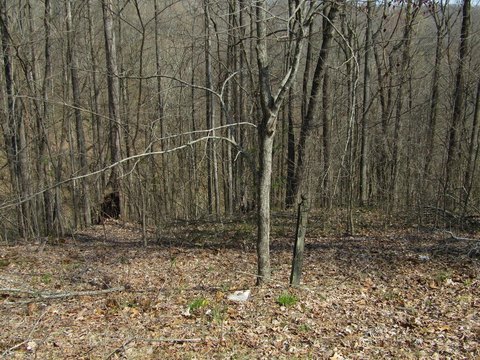 Land, Smithville, TN