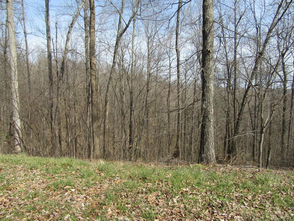 Picture 2