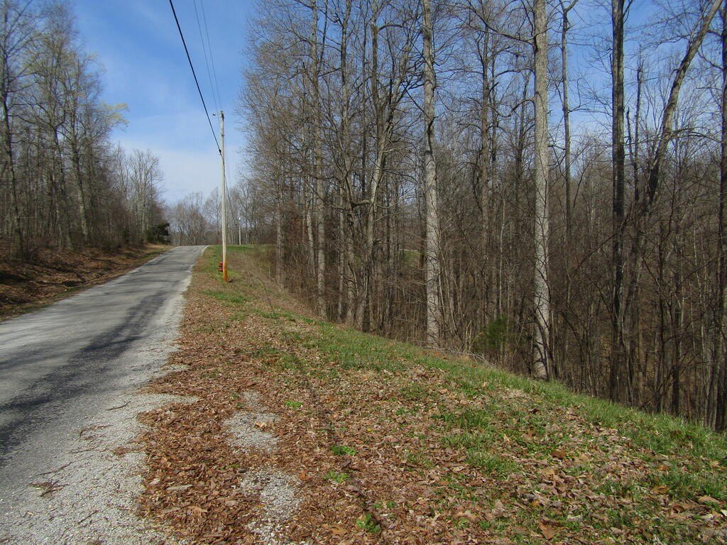 Picture 14