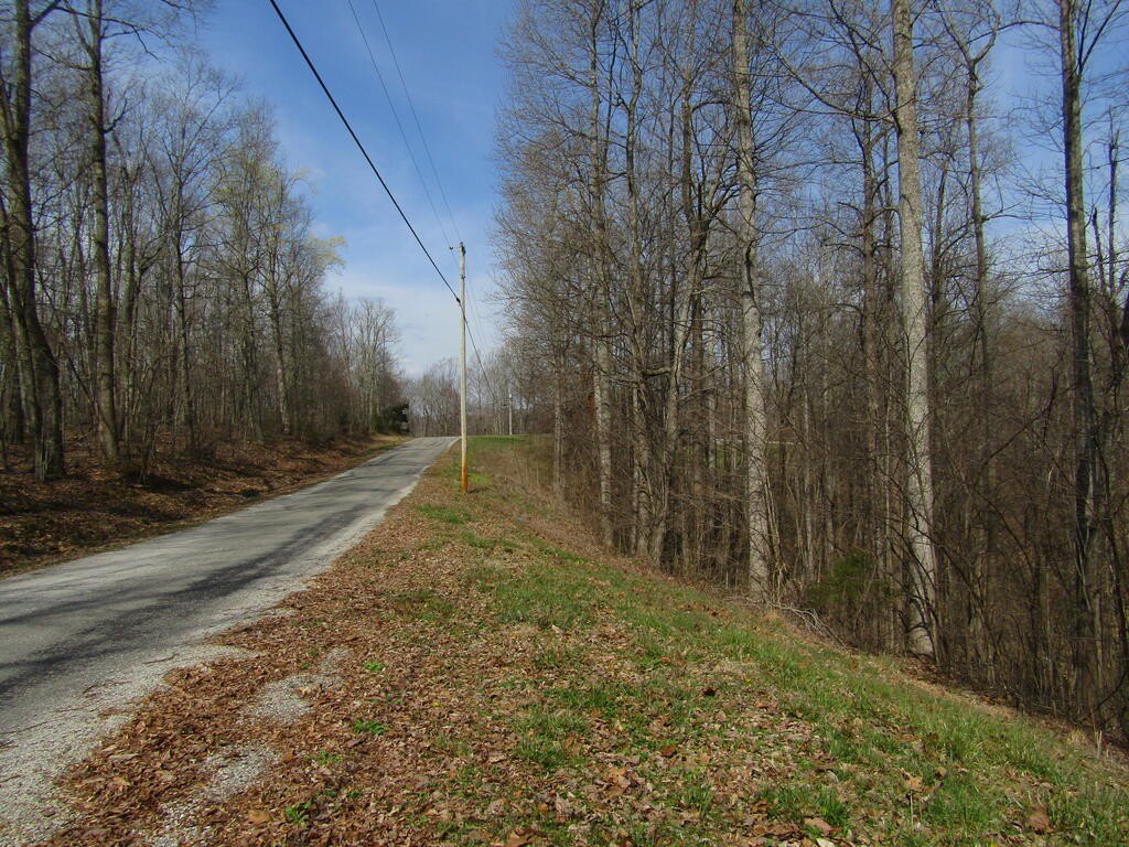 Picture 15