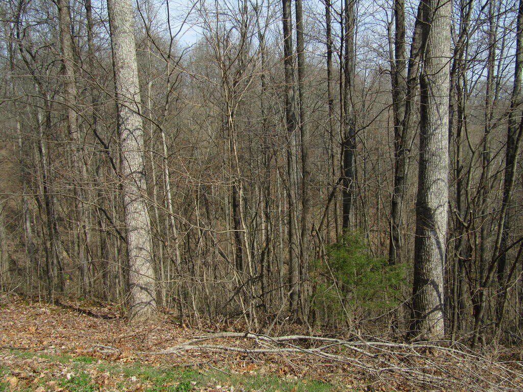 Picture 10