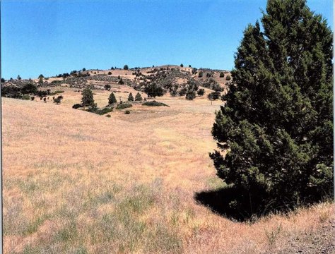Gently Sloped Land Parcel