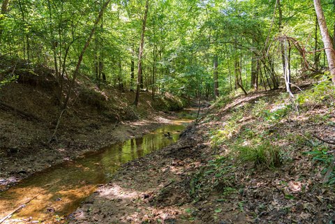 LAND - Gladewater, TX