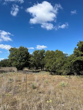 Land, Early, TX