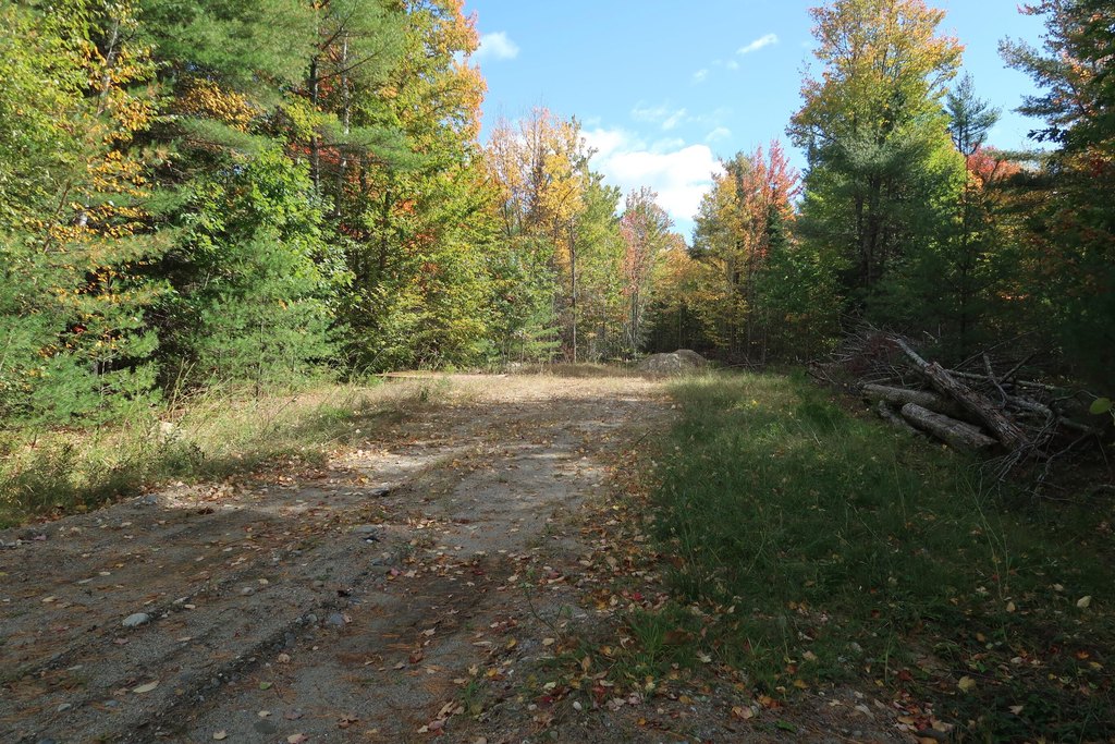 Picture 6