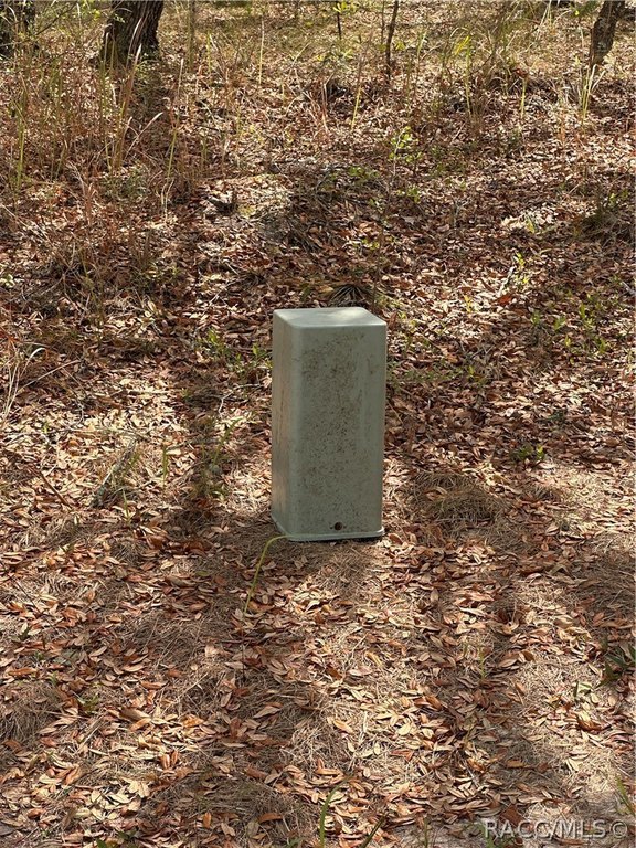 Picture 6