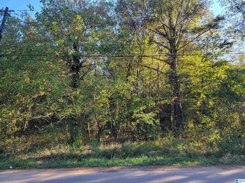 LAND - BESSEMER, AL