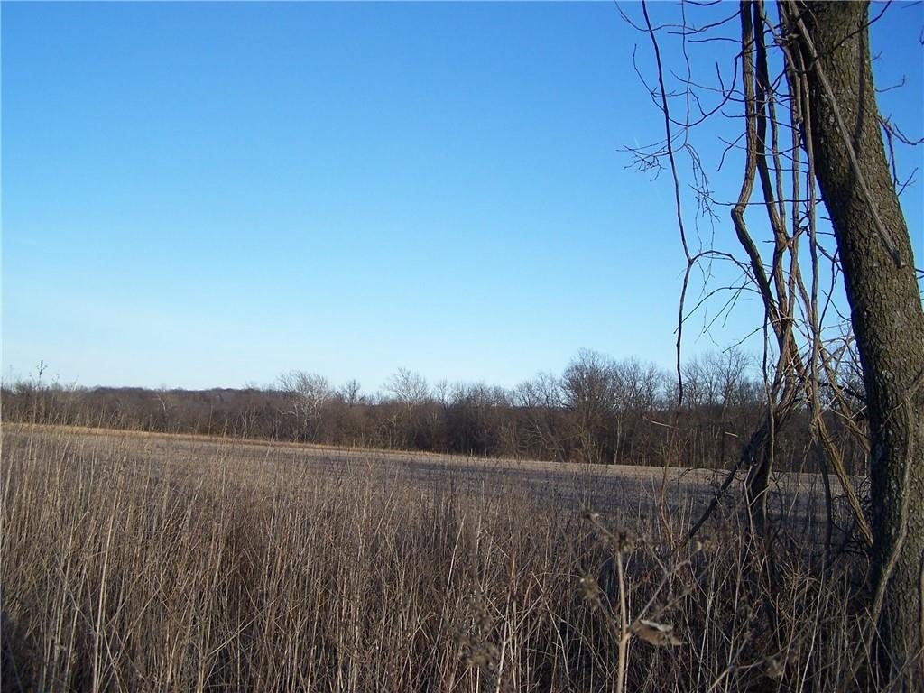 Oak Grove Land For Sale