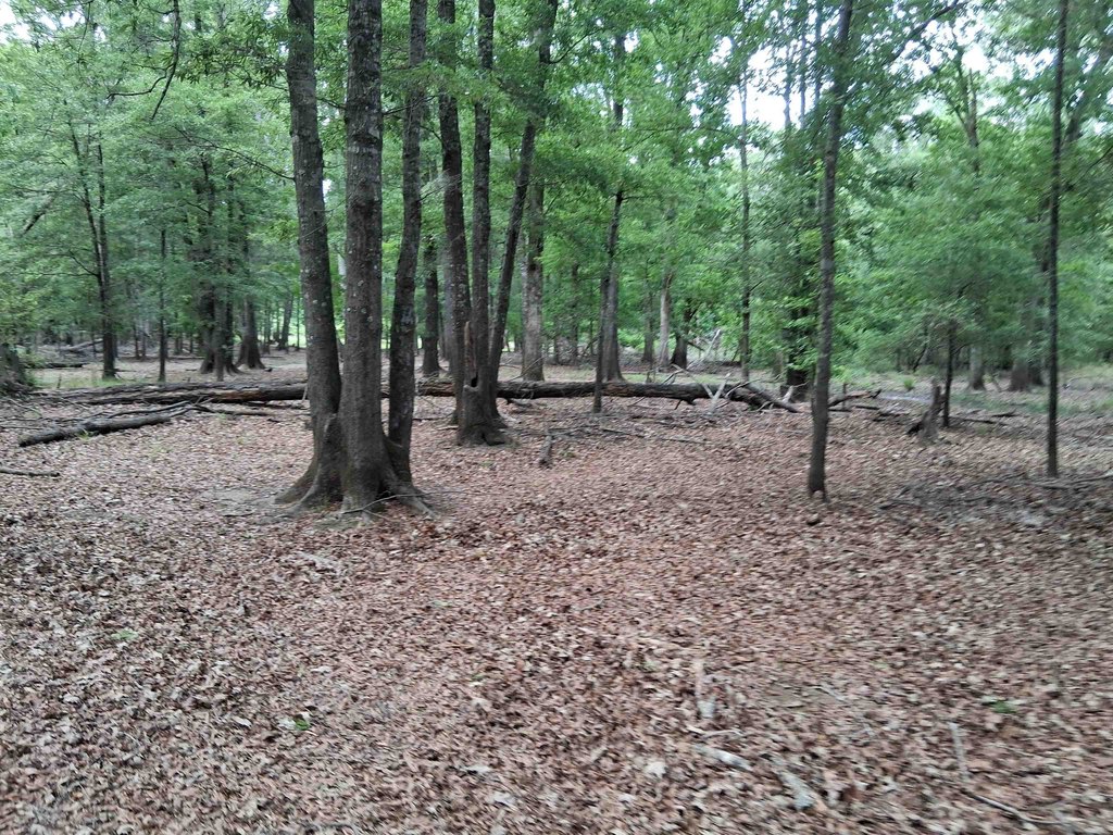 Picture 12