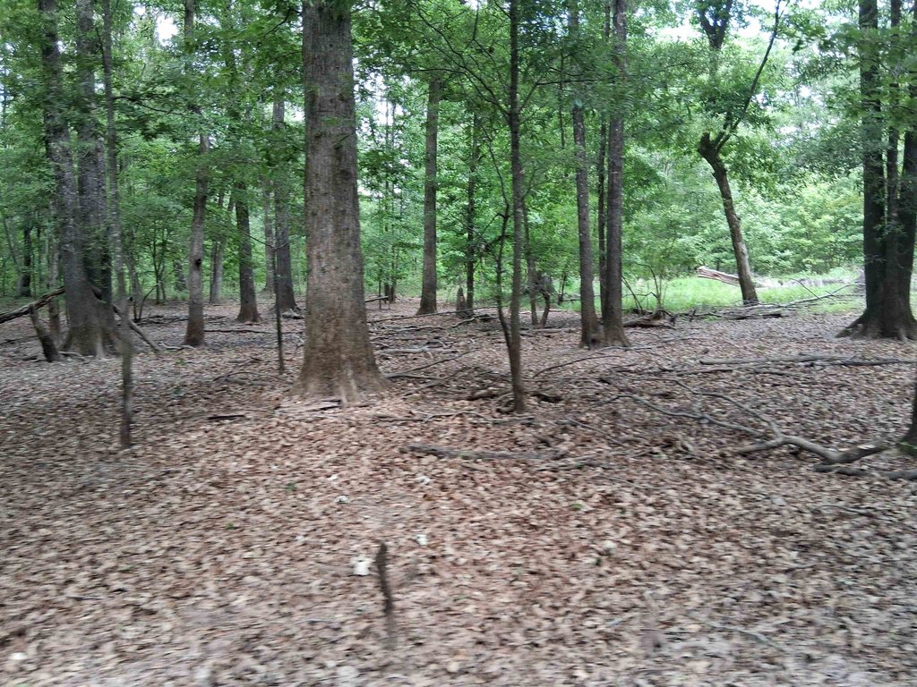 Picture 18