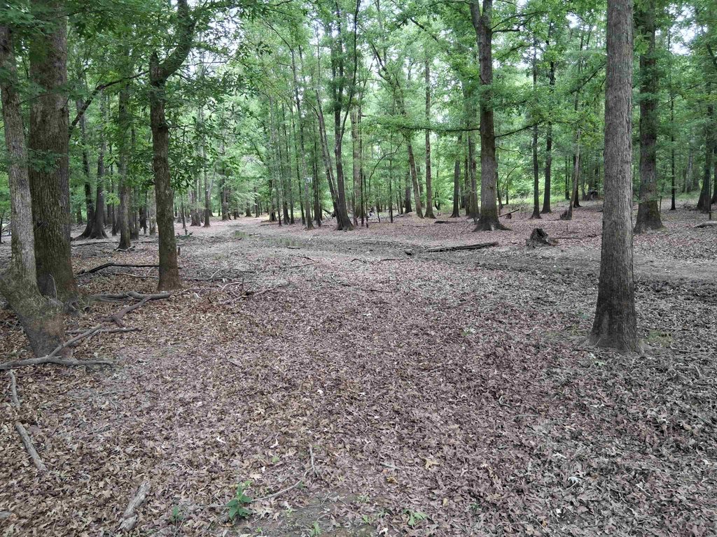 Picture 16