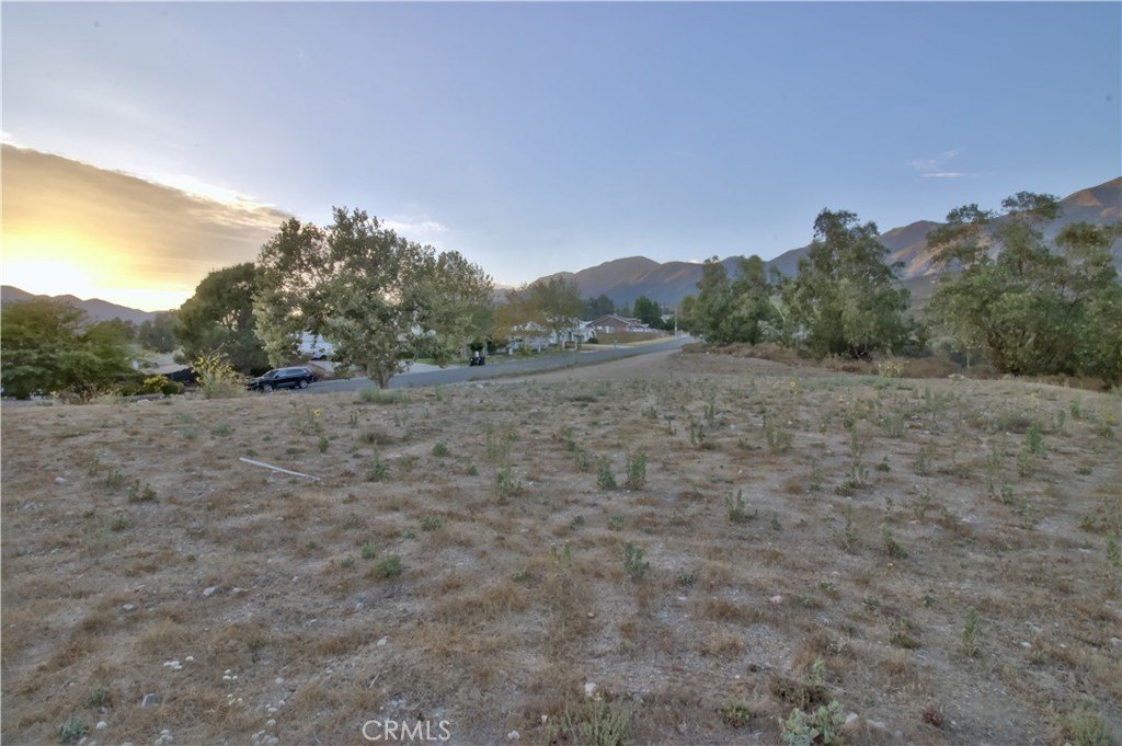 Picture 8
