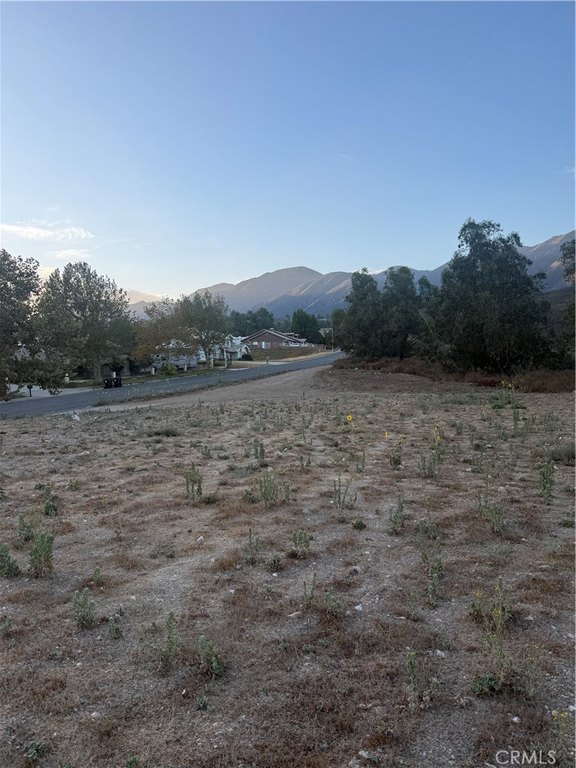 Picture 2