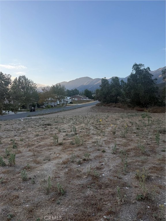Picture 2