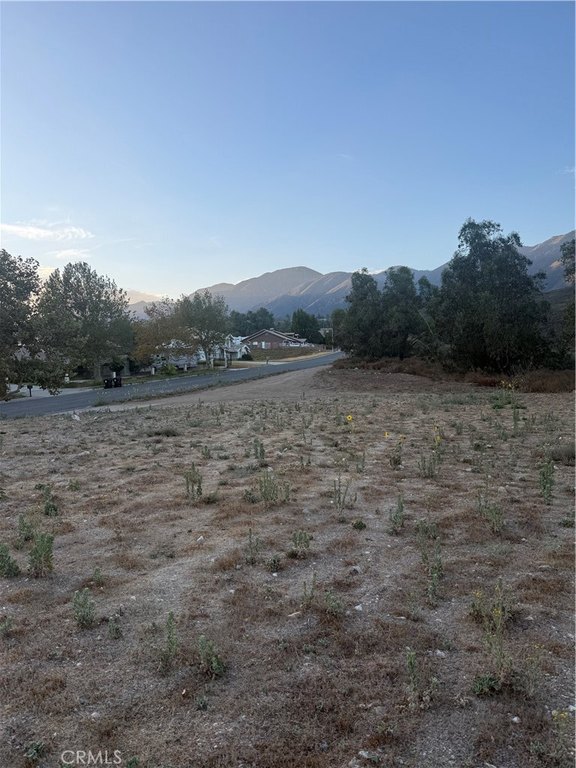 Picture 2
