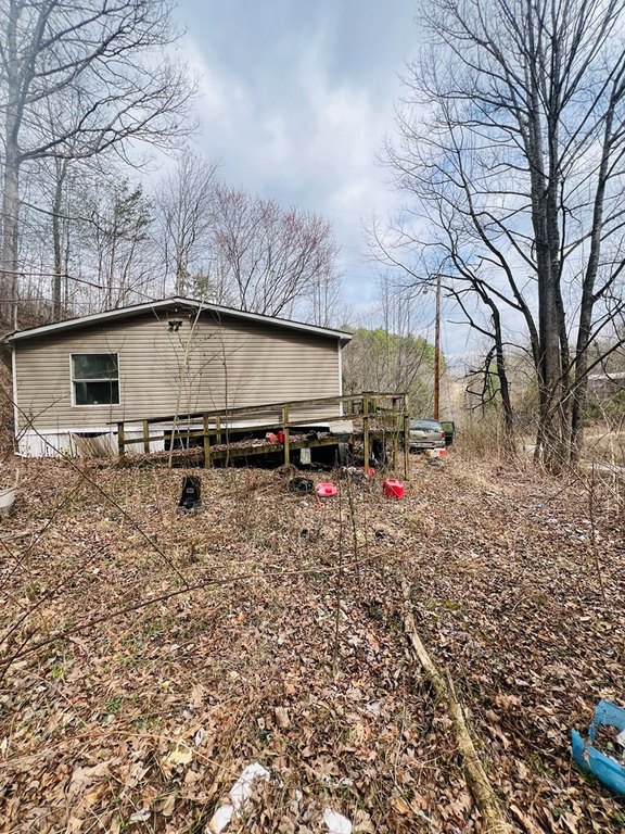 Picture 3