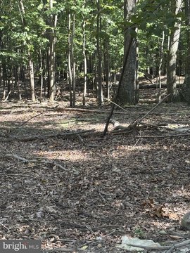 Unrestricted Land Near Sleepy Creek