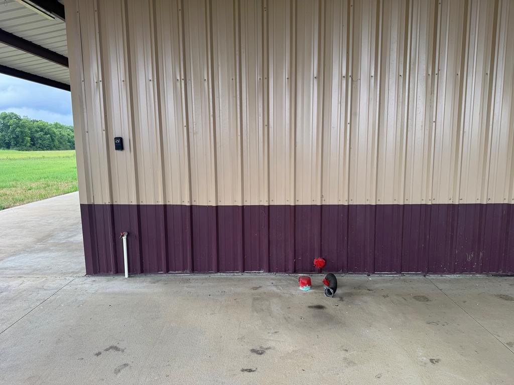 Picture 21