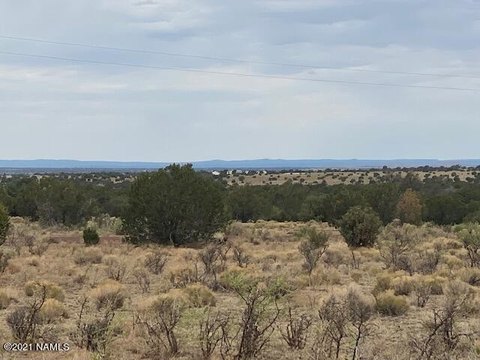 LAND - Williams, AZ