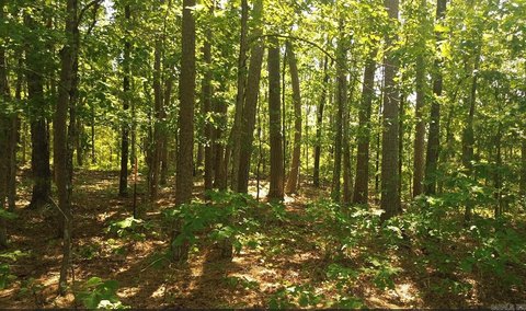 Vacant Land, Bee Branch, AR