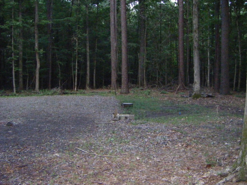Picture 20