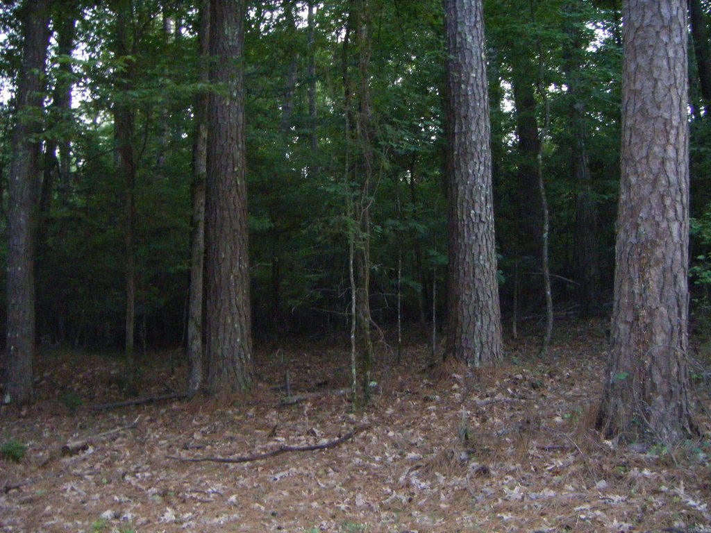 Picture 22