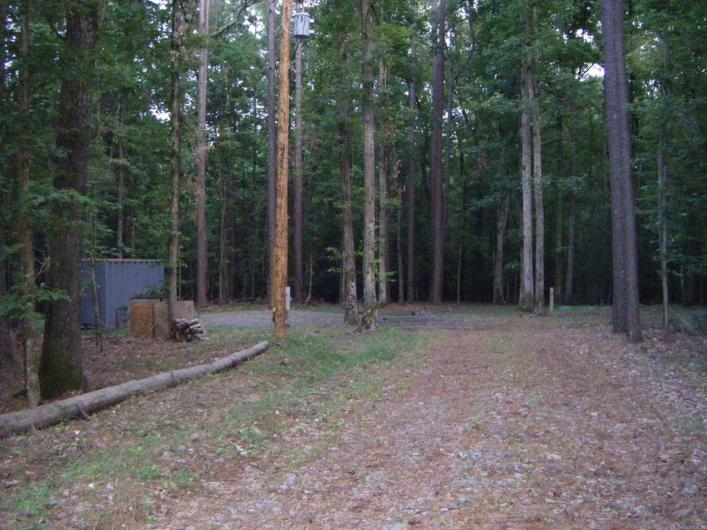 Picture 23