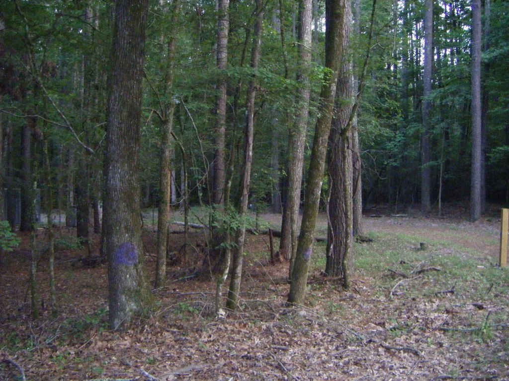 Picture 18