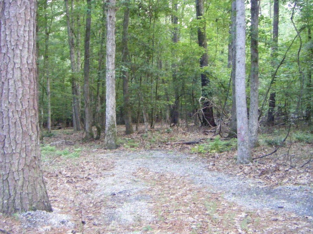 Picture 19