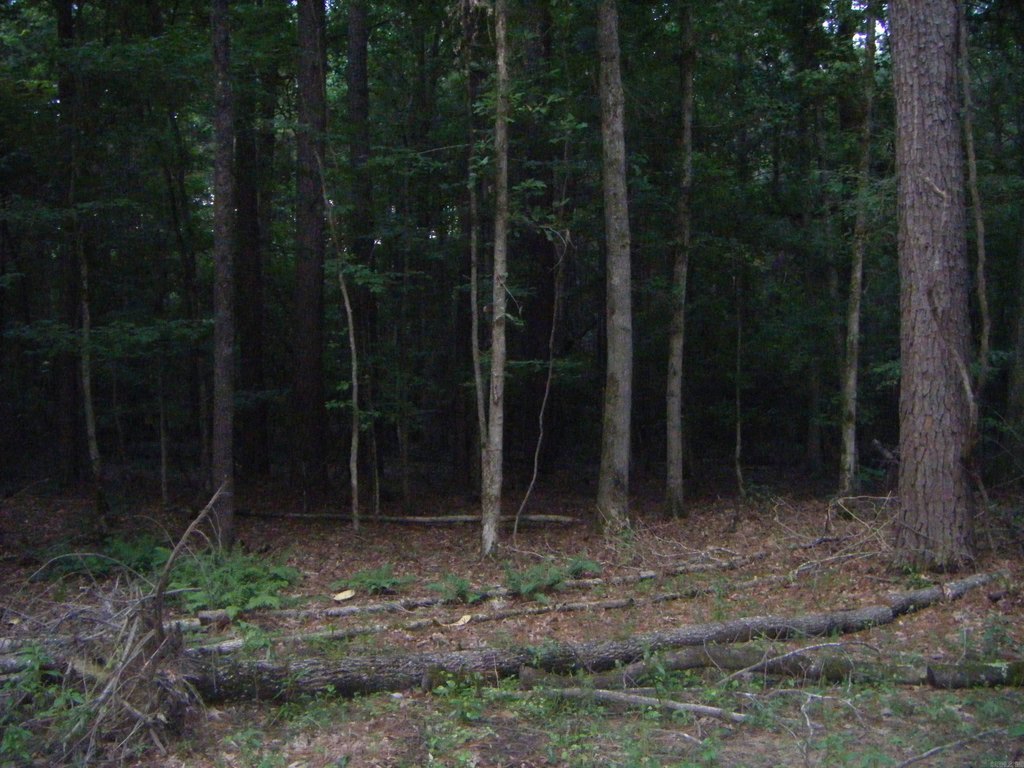 Picture 24