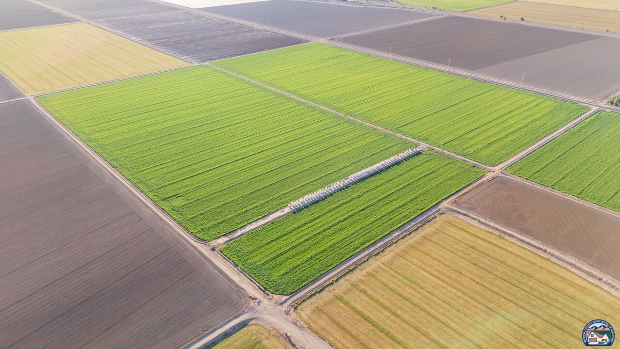 Productive Farmland Near Interstate 8