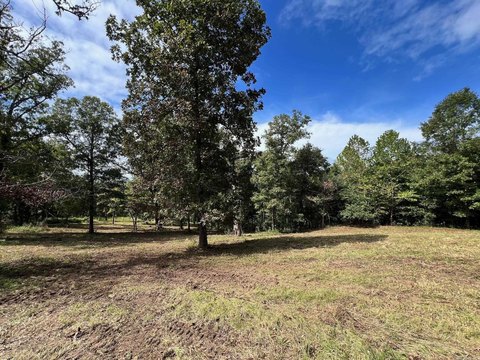 Vacant Land, Mammoth Spring, AR