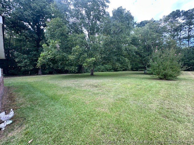 Picture 7