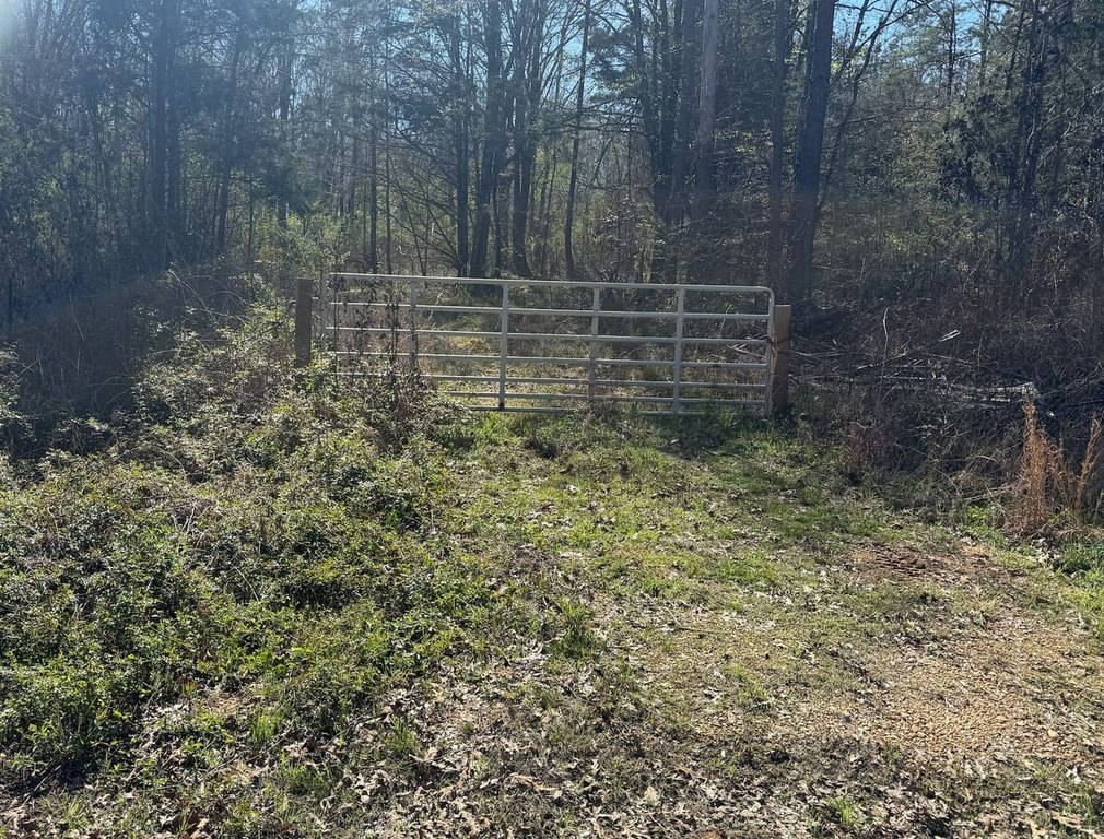 Picture 11