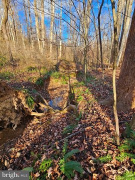 30 Acres of Rolling Hills