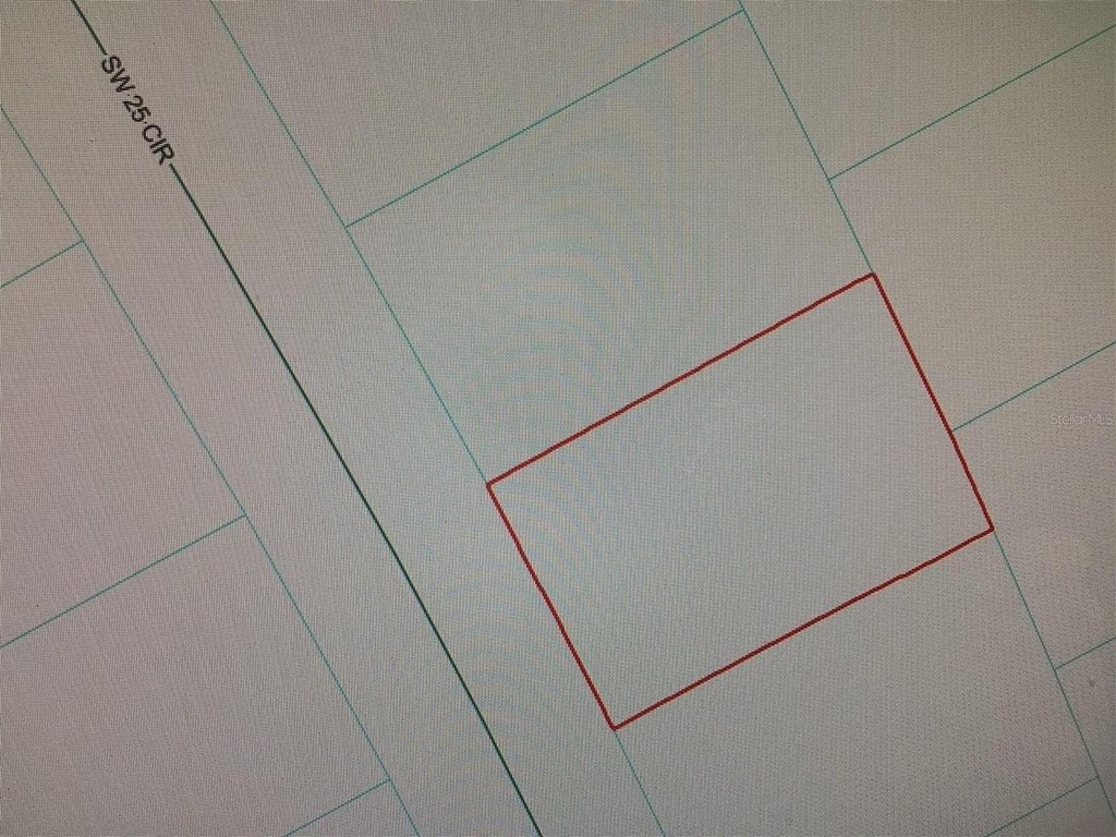Picture 4