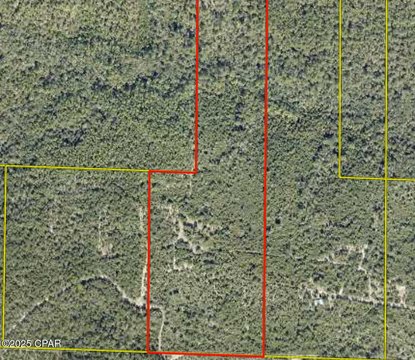 40 Acres of Land, Florida