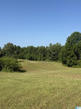 LAND - FRUITHURST, AL