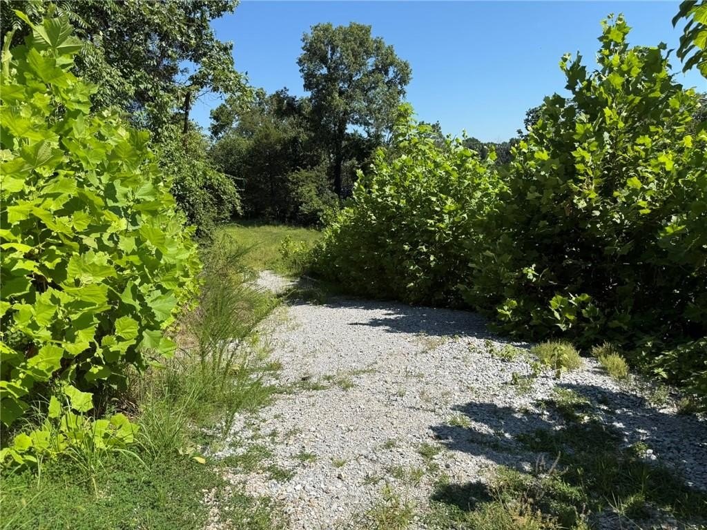 Picture 5