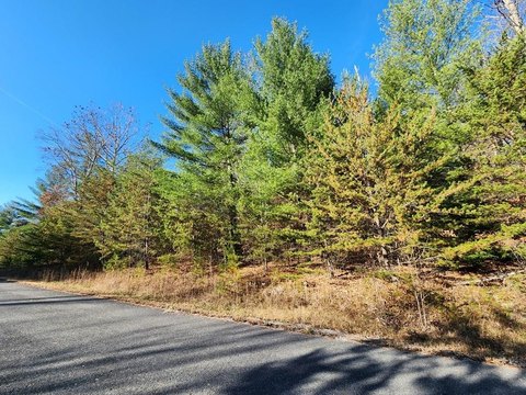Residential Land in Equestrian Community