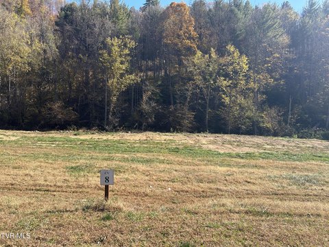 Land, Butler, TN