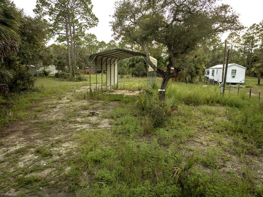 Picture 20