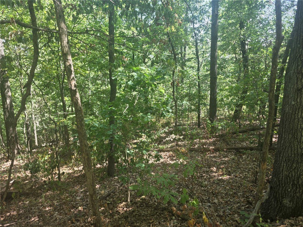 Picture 4